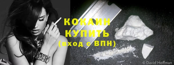 стаф Карпинск