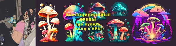spice Касимов