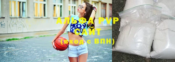 стаф Карпинск