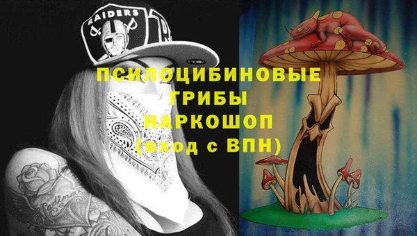 spice Касимов