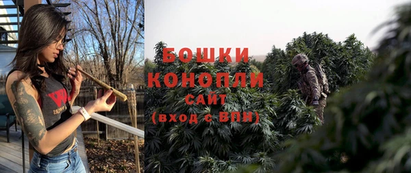 стаф Карпинск