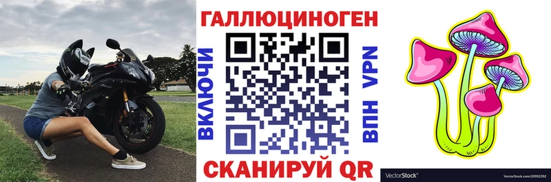 Галлюциногенные грибы мухоморы  Купить где  Салаир 